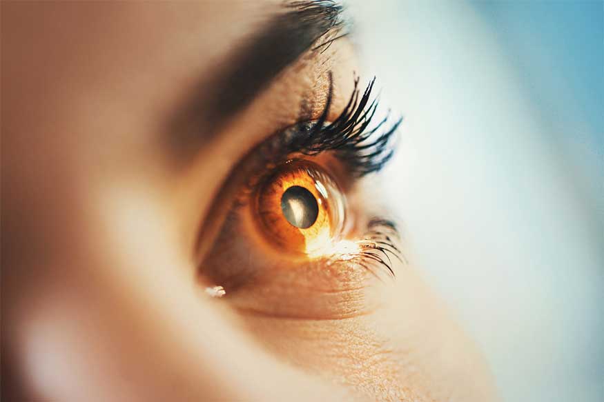 Foods That Can Damage Your Vision